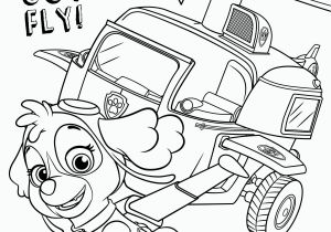 Free Paw Patrol Skye Coloring Pages Free Paw Patrol Coloring Pages