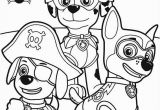 Free Paw Patrol Skye Coloring Pages Free Printable Paw Patrol Coloring Pages Fresh Zuma Martial Chase