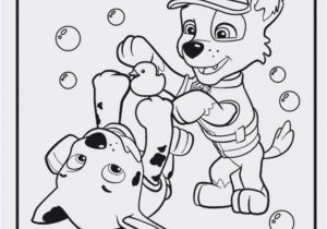 Free Paw Patrol Skye Coloring Pages Paw Patrol Free Videos