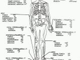 Free Printable Anatomy and Physiology Coloring Pages Anatomy and Physiology Coloring Workbook Answers Unique