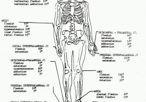 Free Printable Anatomy and Physiology Coloring Pages Anatomy and Physiology Coloring Workbook Answers Unique