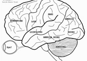 Free Printable Anatomy and Physiology Coloring Pages Free Anatomy and Physiology Coloring Pages Coloring Home