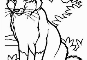 Free Printable Animal Coloring Pages Free Printable Fox Coloring Pages for Kids