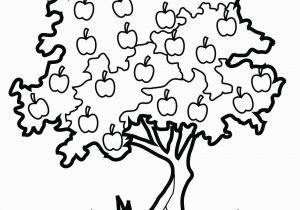 Free Printable Apple Tree Coloring Pages Free Printable Tree Coloring Pages for Kids