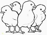 Free Printable Baby Chick Coloring Pages Baby Chick Coloring Page Coloring Home