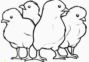 Free Printable Baby Chick Coloring Pages Baby Chick Coloring Page Coloring Home