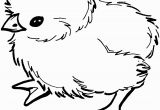 Free Printable Baby Chick Coloring Pages Baby Chick Coloring Page