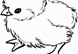 Free Printable Baby Chick Coloring Pages Baby Chick Coloring Page