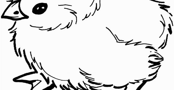 Free Printable Baby Chick Coloring Pages Baby Chick Coloring Page