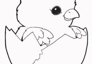 Free Printable Baby Chick Coloring Pages Baby Chick Coloring Pages Part 5