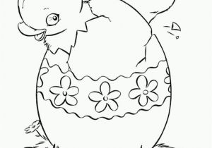 Free Printable Baby Chick Coloring Pages Baby Chick Drawing at Getdrawings