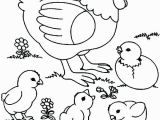 Free Printable Baby Chick Coloring Pages Chicken Coloring Pages Best Coloring Pages for Kids