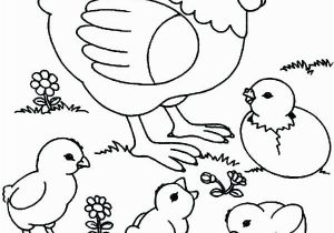 Free Printable Baby Chick Coloring Pages Chicken Coloring Pages Best Coloring Pages for Kids