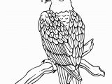 Free Printable Bald Eagle Coloring Pages Free Printable Bald Eagle Coloring Pages for Kids