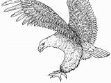 Free Printable Bald Eagle Coloring Pages Free Printable Bald Eagle Coloring Pages for Kids