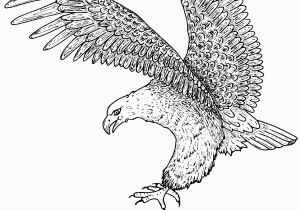 Free Printable Bald Eagle Coloring Pages Free Printable Bald Eagle Coloring Pages for Kids