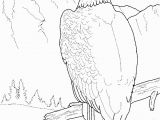 Free Printable Bald Eagle Coloring Pages Free Printable Bald Eagle Coloring Pages for Kids