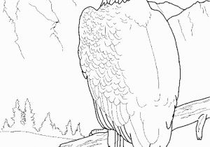 Free Printable Bald Eagle Coloring Pages Free Printable Bald Eagle Coloring Pages for Kids