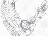Free Printable Bald Eagle Coloring Pages Free Printable Bald Eagle Coloring Pages for Kids