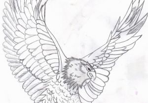 Free Printable Bald Eagle Coloring Pages Free Printable Bald Eagle Coloring Pages for Kids