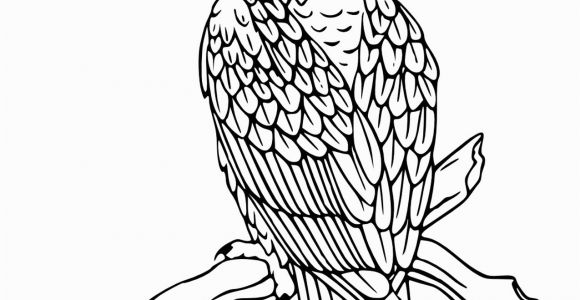 Free Printable Bald Eagle Coloring Pages Free Printable Bald Eagle Coloring Pages for Kids