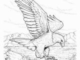 Free Printable Bald Eagle Coloring Pages Free Printable Bald Eagle Coloring Pages for Kids