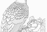 Free Printable Bald Eagle Coloring Pages Free Printable Bald Eagle Coloring Pages for Kids