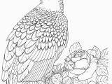 Free Printable Bald Eagle Coloring Pages Free Printable Bald Eagle Coloring Pages for Kids