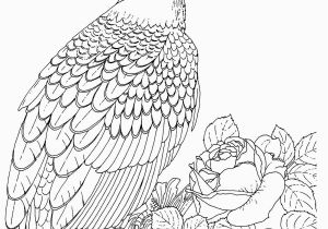 Free Printable Bald Eagle Coloring Pages Free Printable Bald Eagle Coloring Pages for Kids