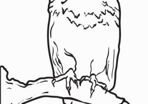 Free Printable Bald Eagle Coloring Pages Printable Bald Eagle Coloring Page for Kids – Supplyme