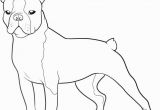 Free Printable Boston Terrier Coloring Pages Boston Terrier Coloring Pages Printable Coloring Home