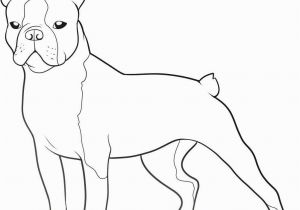 Free Printable Boston Terrier Coloring Pages Boston Terrier Coloring Pages Printable Coloring Home