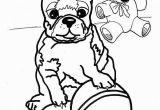 Free Printable Boston Terrier Coloring Pages Boston Terrier Coloring Pages Printable