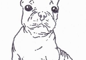 Free Printable Boston Terrier Coloring Pages Pin On Examples Customize Coloring Pages