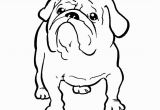 Free Printable Bulldog Coloring Page Bulldog Coloring Pages 12 S Printable Coloring Page