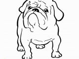 Free Printable Bulldog Coloring Page Bulldog Coloring Pages 12 S Printable Coloring Page