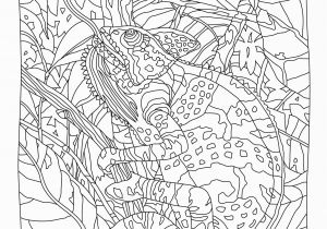 Free Printable Coloring Pages for Adults Advanced Hidden Predators Coloring Book Mindware