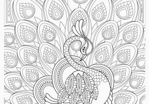 Free Printable Coloring Pages for Adults Pin On Coloring Page