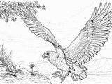 Free Printable Coloring Pages Of Eagles Free Eagle Coloring Pages