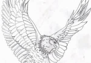 Free Printable Coloring Pages Of Eagles Free Printable Bald Eagle Coloring Pages for Kids