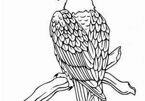 Free Printable Coloring Pages Of Eagles Free Printable Bald Eagle Coloring Pages for Kids