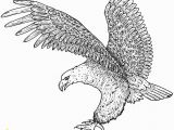 Free Printable Coloring Pages Of Eagles Free Printable Eagle Coloring Pages for Kids