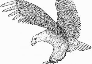 Free Printable Coloring Pages Of Eagles Free Printable Eagle Coloring Pages for Kids