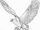 Free Printable Coloring Pages Of Eagles Free Printable Eagle Coloring Pages for Kids