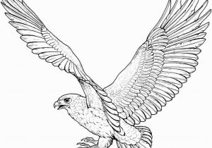 Free Printable Coloring Pages Of Eagles Free Printable Eagle Coloring Pages for Kids