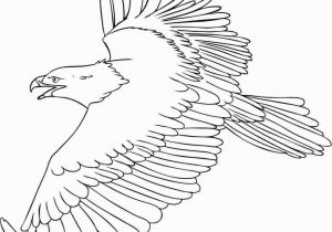 Free Printable Coloring Pages Of Eagles Free Printable Eagle Coloring Pages for Kids