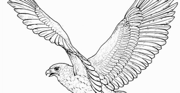 Free Printable Coloring Pages Of Eagles Free Printable Eagle Coloring Pages for Kids