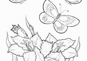 Free Printable Coloring Pages Of Flowers and butterflies butterfly Flower Coloring Pages at Getcolorings