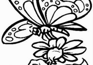 Free Printable Coloring Pages Of Flowers and butterflies butterfly with Flower Coloring Page Free butterfly