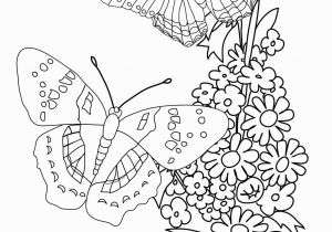 Free Printable Coloring Pages Of Flowers and butterflies Flowers and butterflies Drawing at Getdrawings
